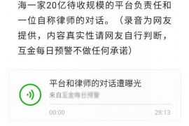 大悟为什么选择专业追讨公司来处理您的债务纠纷？